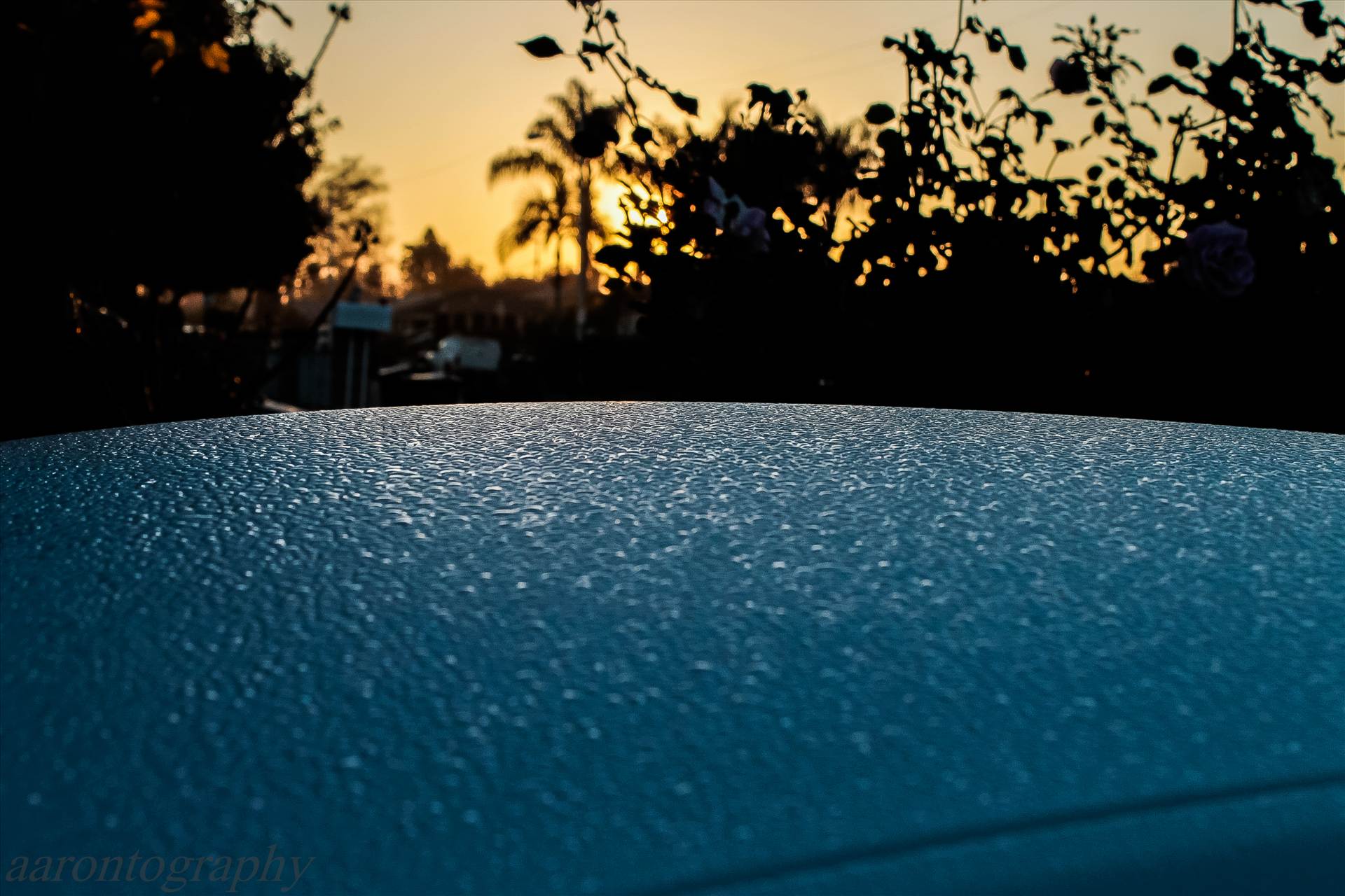 DEW ON THE ROOF.JPG - undefined by Aaron