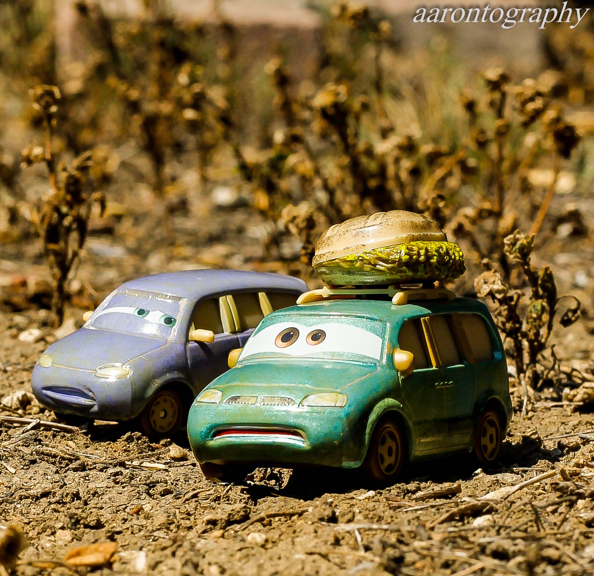Mini and Van are lost.jpg - undefined by Aaron